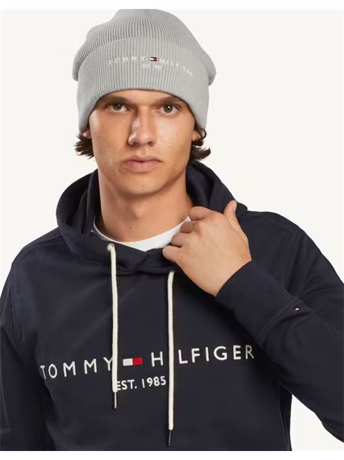 wcc tommy logo hoody Tommy Hilfiger | MW0MW13720.DW5